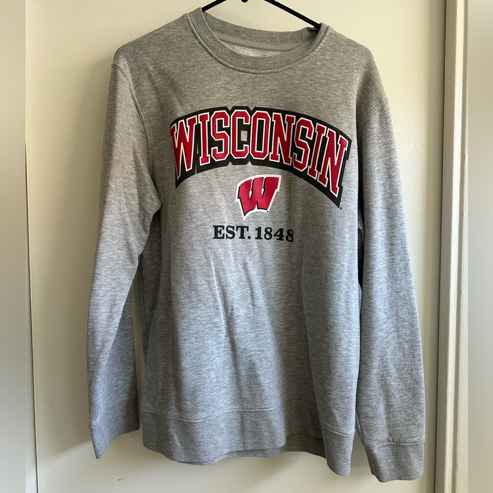 Wisconsin graphic crewneck in gray